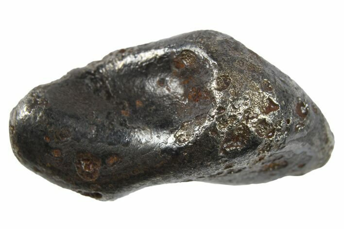 Sikhote-Alin Iron Meteorite ( g) - Russia #266704